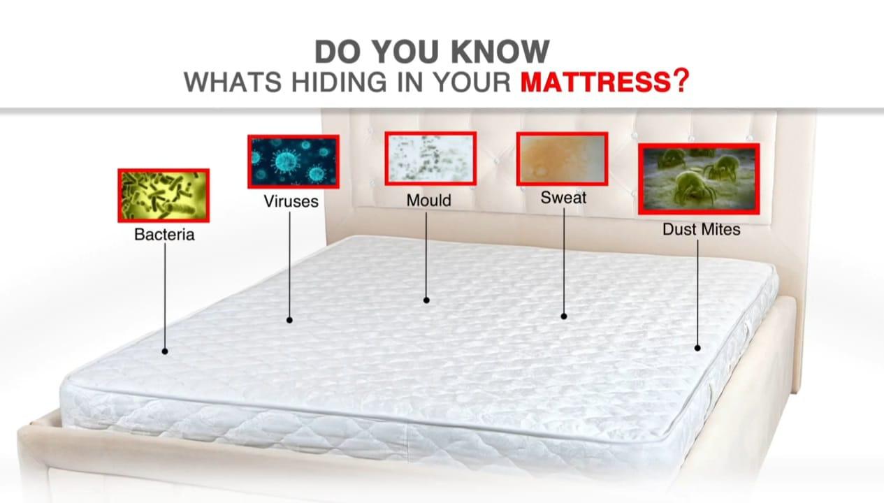 Prani Store - Fidato Double Bed Mattress Protector Sheet with 2 Pillow Protector